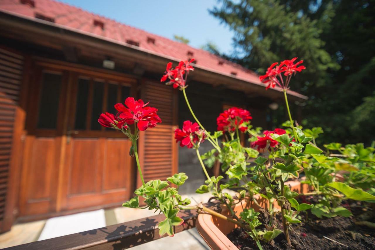 Cabin In The Woods Vukelic Stubicke Toplice Exterior foto
